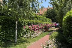 kep4_6_varmegye_gul_baba_2025_6_12