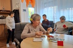 dartsverseny_tolna_1031-3