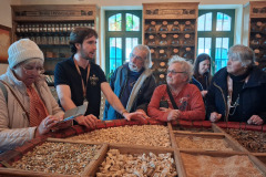 unikum_bekes_kem_03_2025