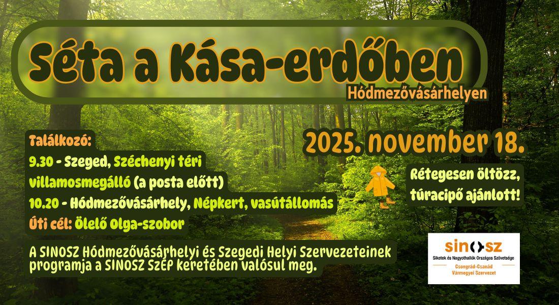 hmvhely_kasa_erdo_p_2025_11_18
