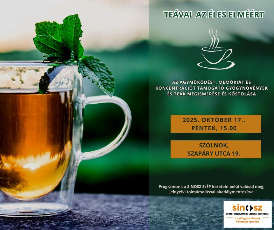 jnsz_teadelutan_plakat_2025