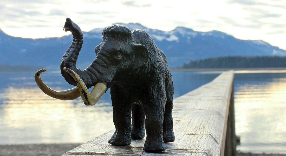 szeged_jegkorszak_2025_11_11