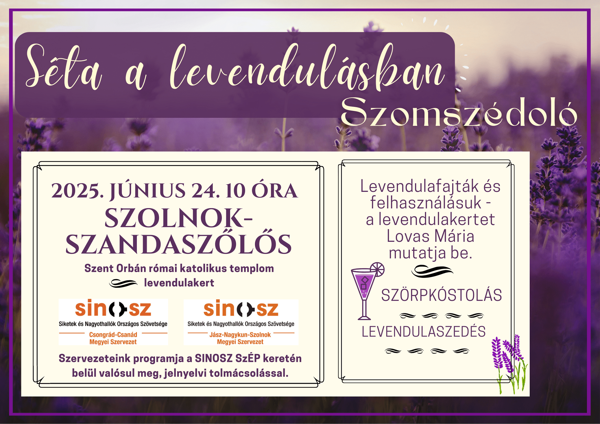 szomszedolo_szolnok_levendulas_plakat_2025_06_24